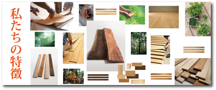 私たちの特徴画像.png